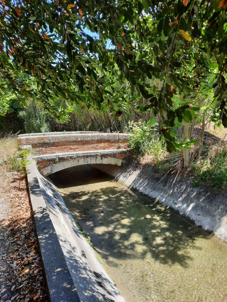 Randonnées "Athentic Pagnol", canal de Marseille.