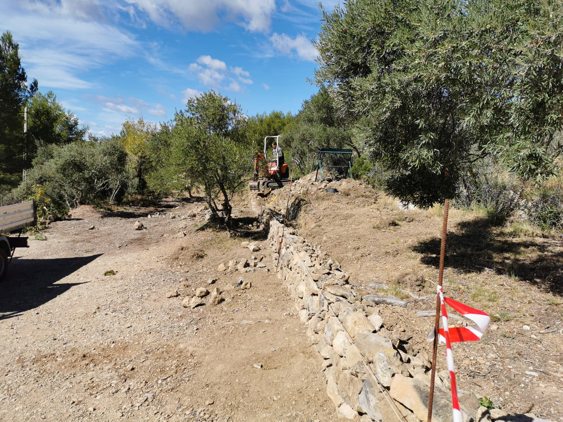 Rehabilitation of the olive grove of Bastide Neuve.