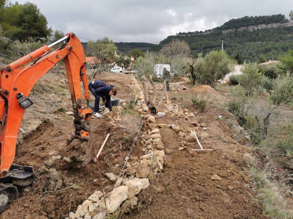 Réhabilitation de l’oliveraie de la Bastide Neuve