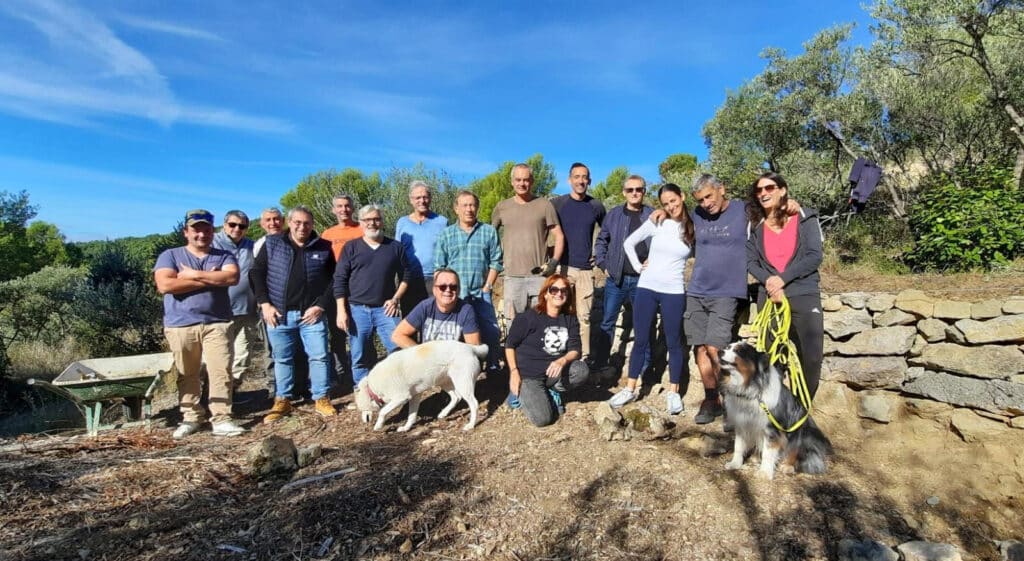 Réhabilitation de l’oliveraie de la Bastide Neuve