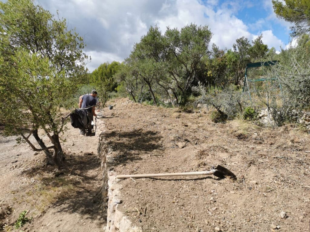 Réhabilitation de l’oliveraie de la Bastide Neuve