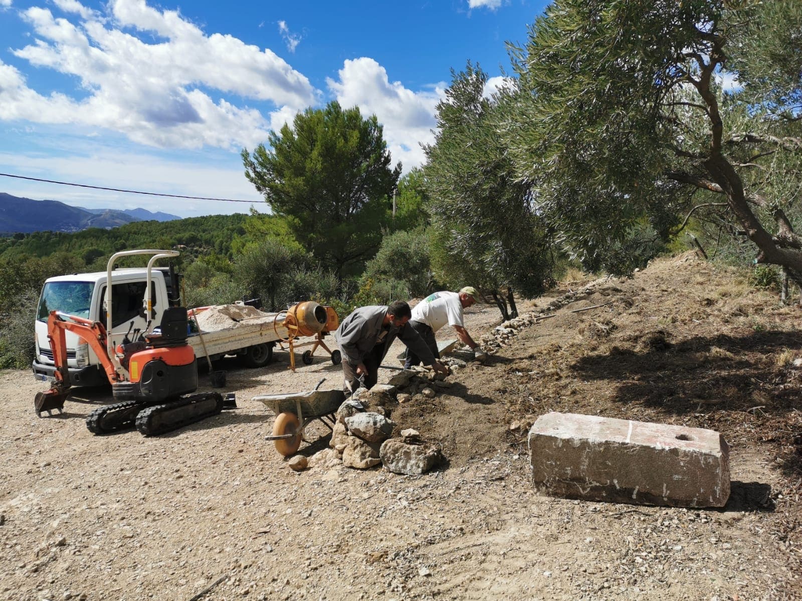 Le Fonds Marcel Pagnol a permis la réhabilitation de l'oliveraie de la Bastide Neuve.